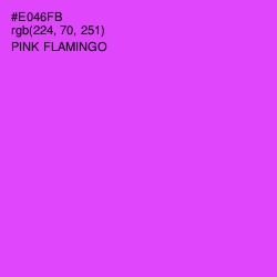 #E046FB - Pink Flamingo Color Image